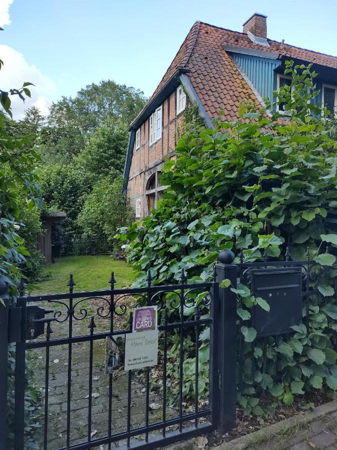 Fewo Haus Patze Betzendorf Exterior photo